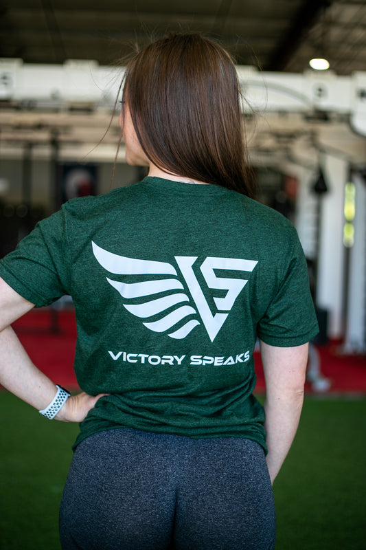 WINGS OF PEGASUS T SHIRT