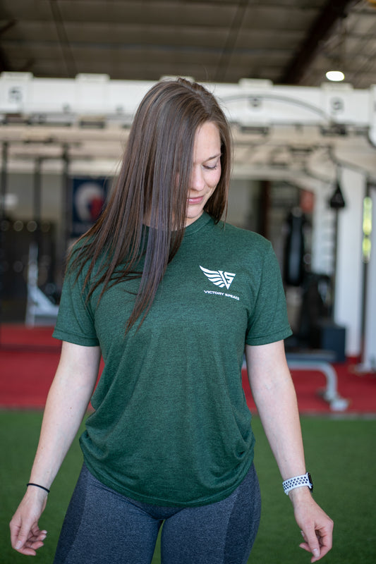 WINGS OF PEGASUS T SHIRT